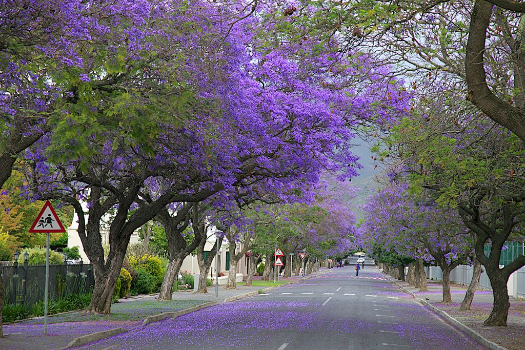 Photo of Outdoor in Robertson