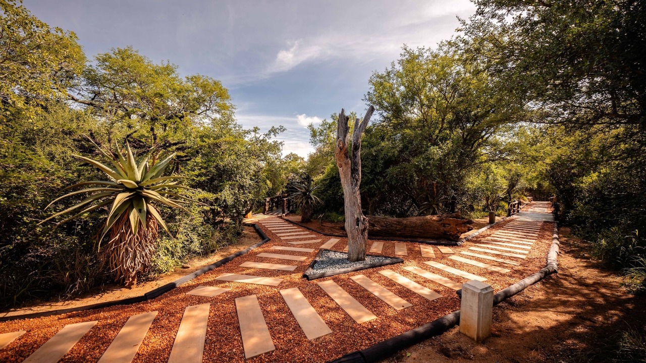 Photo of Outdoor in Thorny Bush Game Reserve