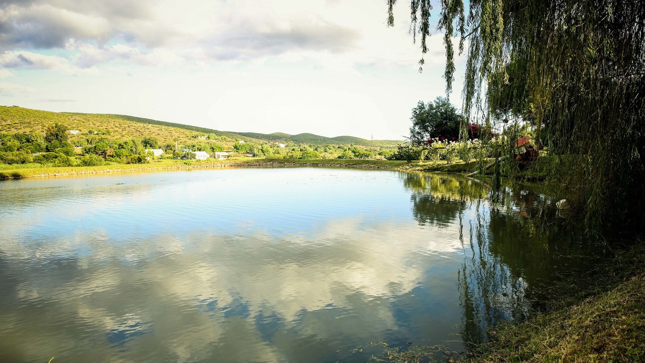 Photo of Outdoor in Schoemanshoek