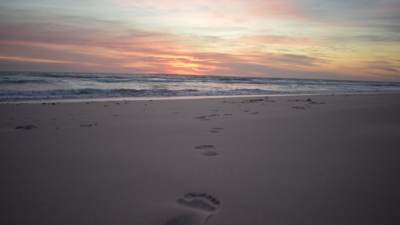 Photo of Others in Sunset Beach