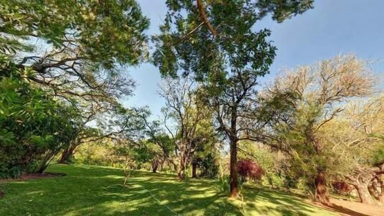 Photo of Outdoor in Maruleng