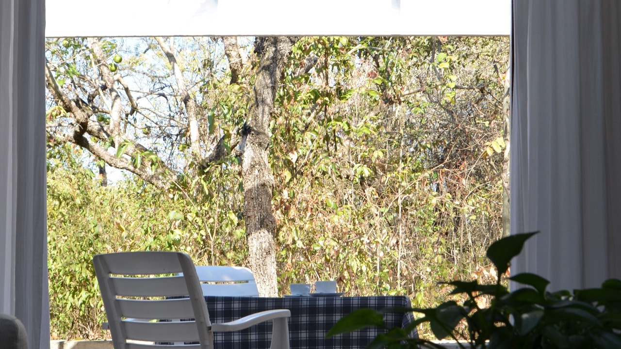 Photo of Outdoor in Hazyview