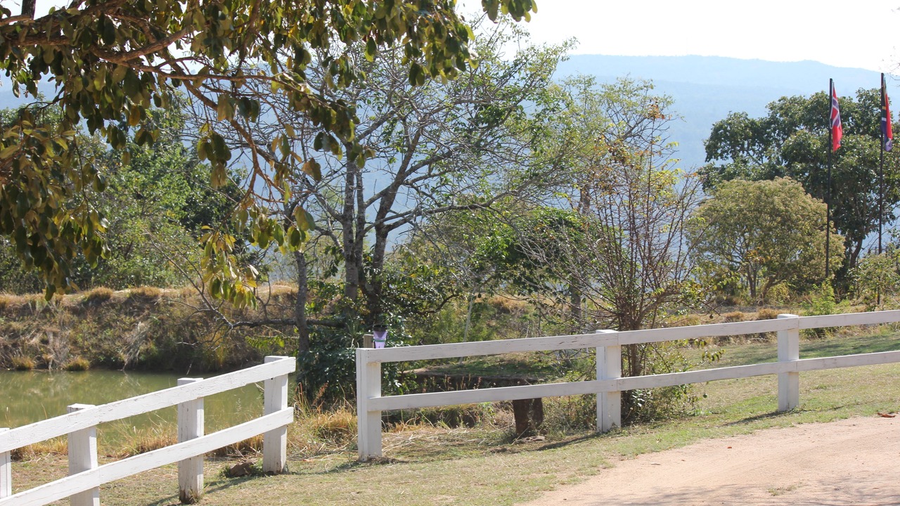 Photo of Others in Hazyview