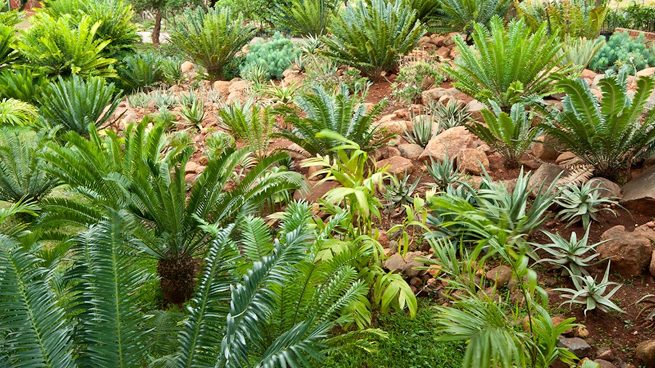 Photo of Outdoor in Kampersrus
