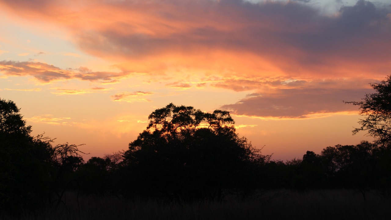 Photo of Others in Hammanskraal