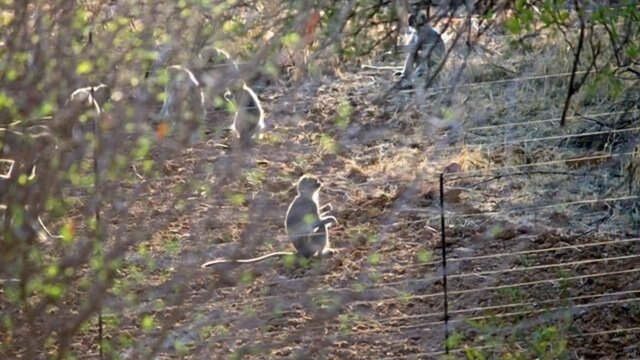 Photo of Others in Hammanskraal