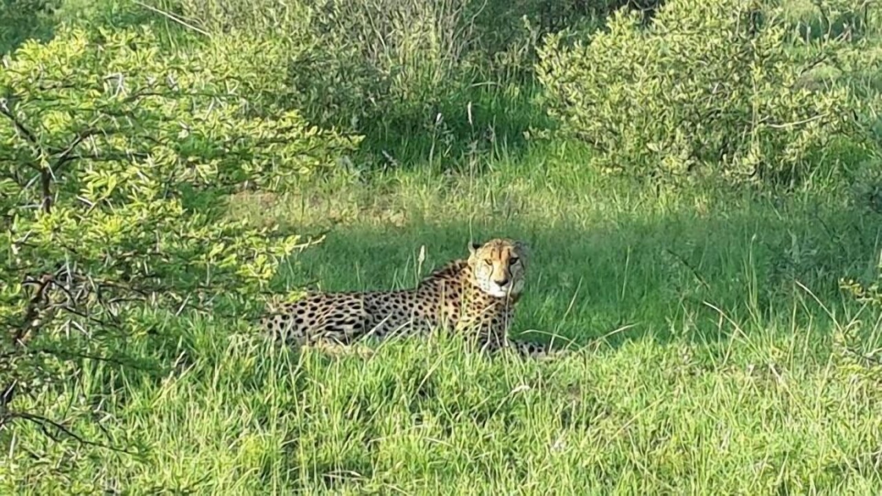 Photo of Others in Hammanskraal