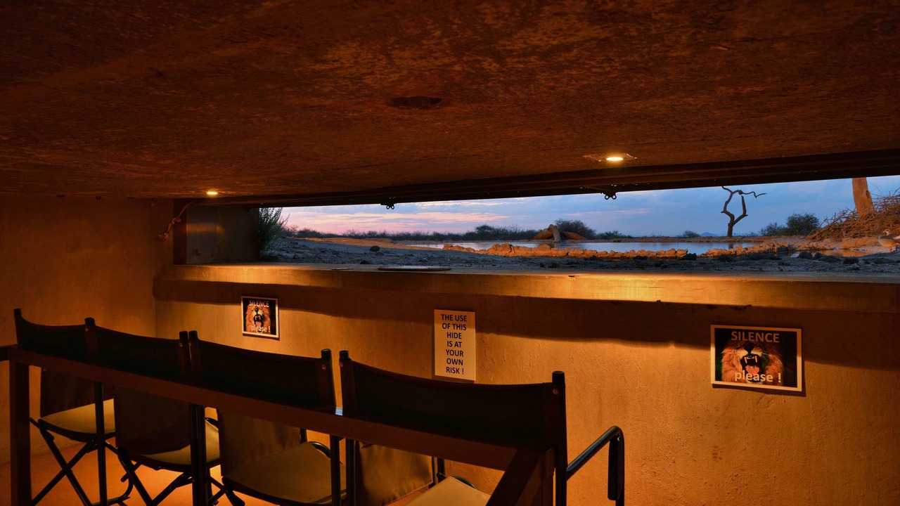 Photo of Others in Madikwe Game Reserve