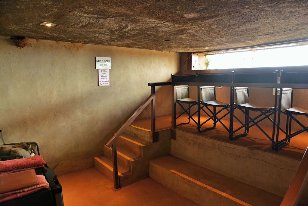 Photo of Others in Madikwe Game Reserve