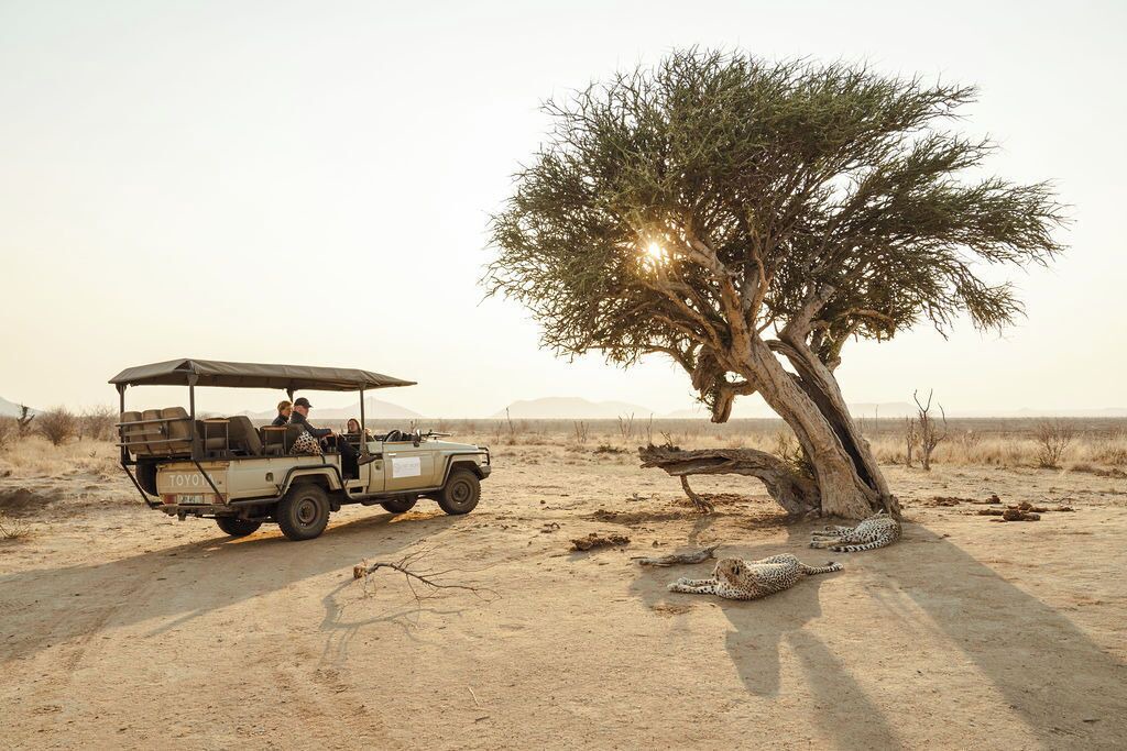 Photo of Others in Madikwe Game Reserve