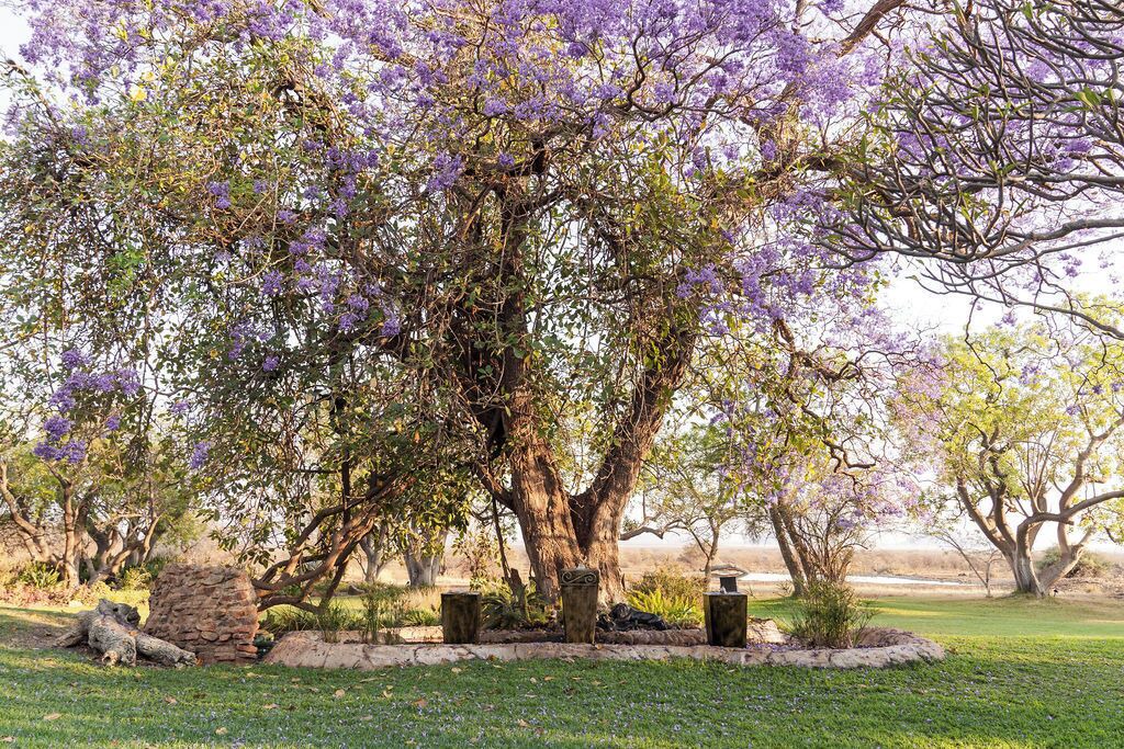 Photo of Outdoor in Madikwe Game Reserve