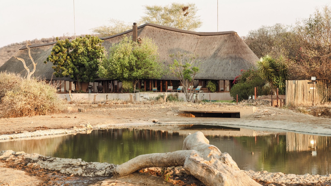 Photo of Others in Madikwe Game Reserve