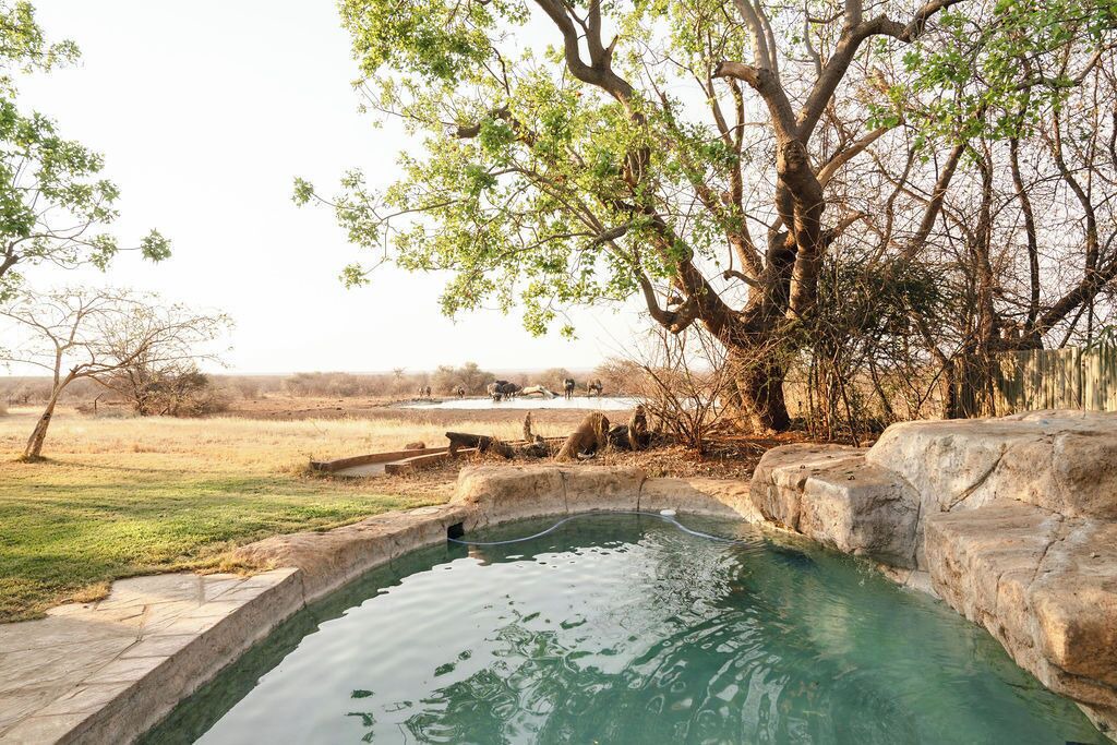 Photo of Outdoor in Madikwe Game Reserve