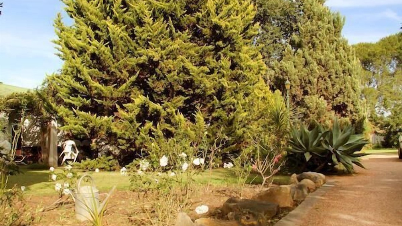 Photo of Outdoor in Riversdale
