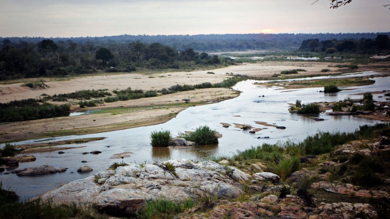 Photo of Others in Marloth Park