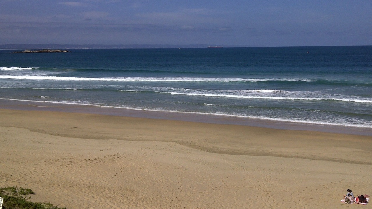 Photo of Others in Mossel Bay