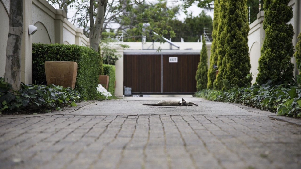 Photo of Outdoor in Berea