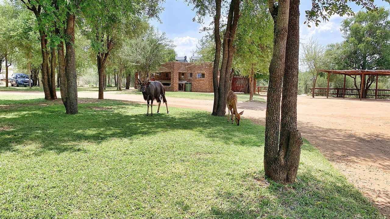 Photo of Outdoor in Hammanskraal