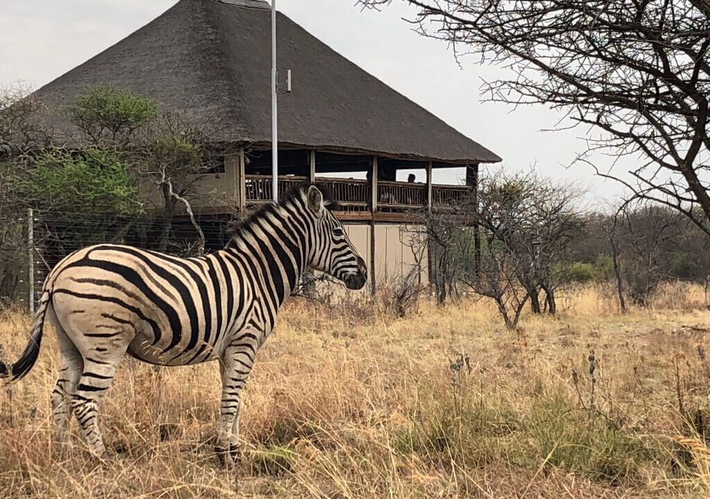 Photo of Others in Hammanskraal