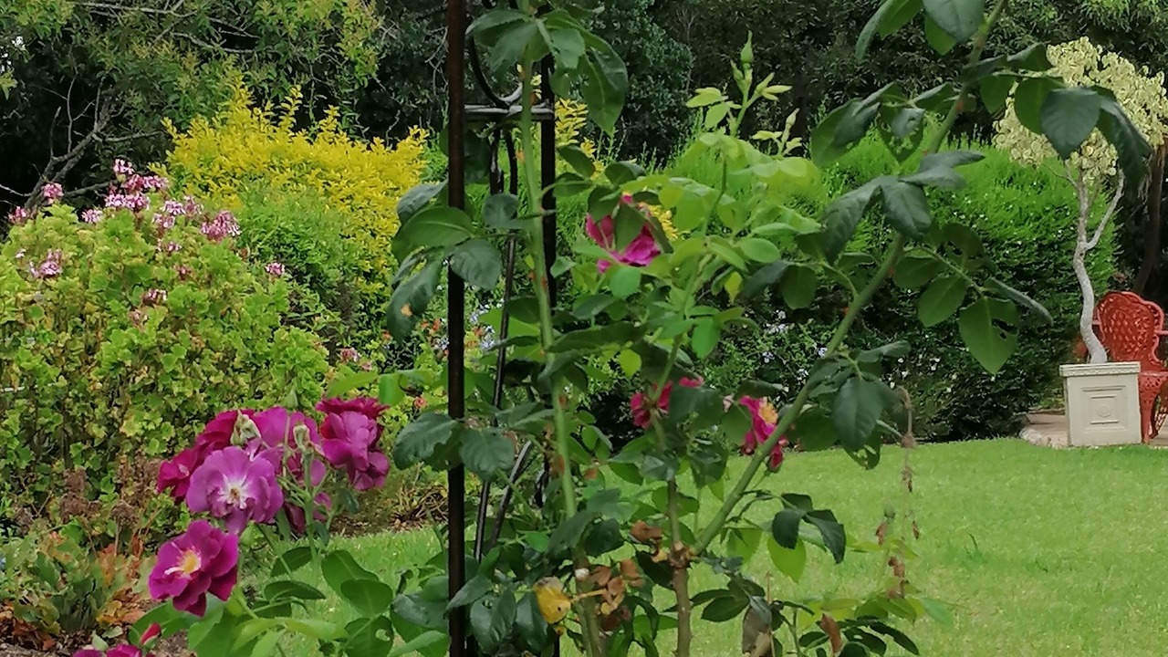 Photo of Outdoor in Swellendam