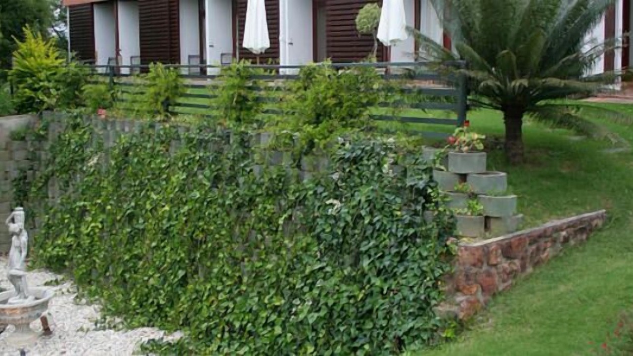 Photo of Outdoor in Swellendam