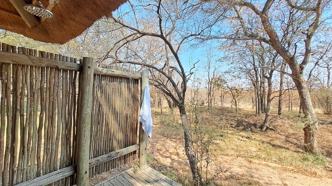 Photo of Others in Kruger National Park
