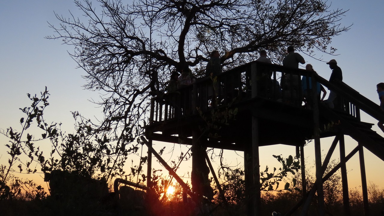 Photo of Others in Kruger National Park