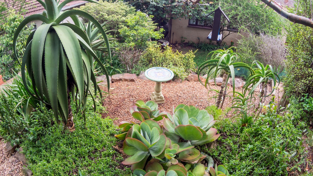 Photo of Outdoor in Glenwood