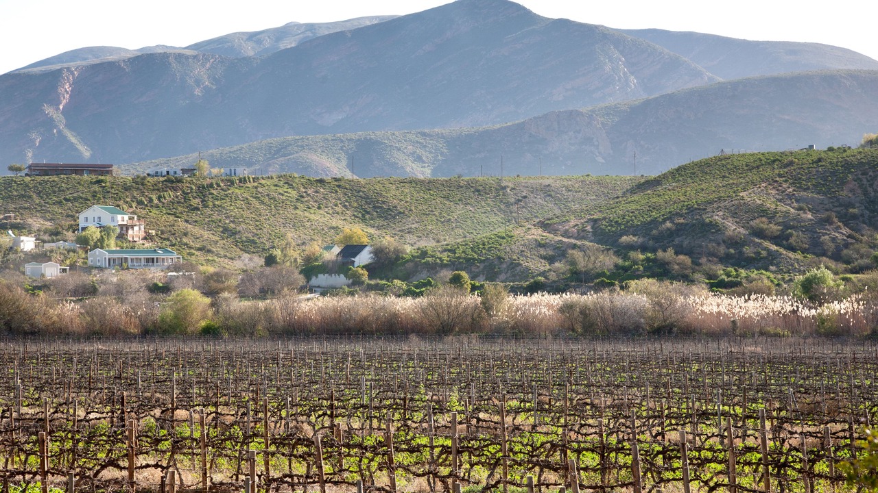 Photo of Others in Calitzdorp