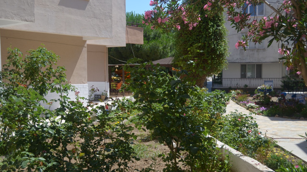 Photo of Outdoor in Sarimsakli