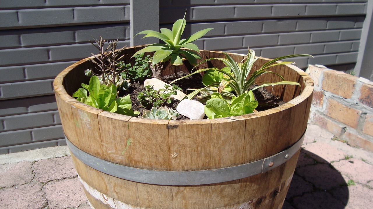 Photo of Outdoor in Pinelands