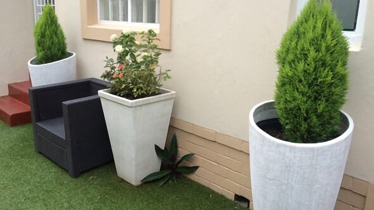 Photo of Outdoor in Musgrave