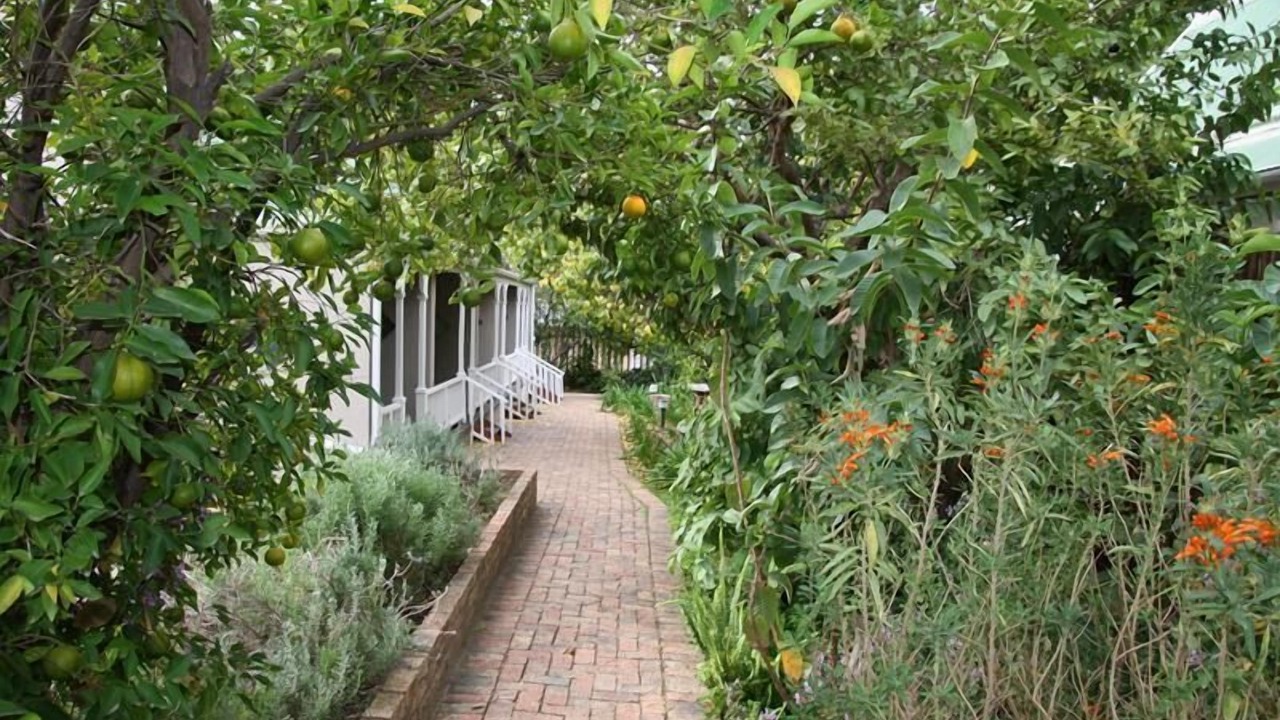 Photo of Outdoor in De Rust