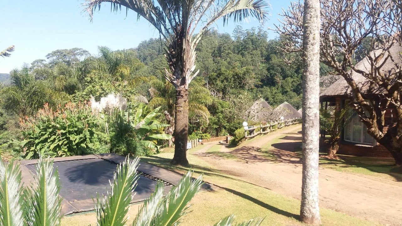 Photo of Outdoor in Tzaneen