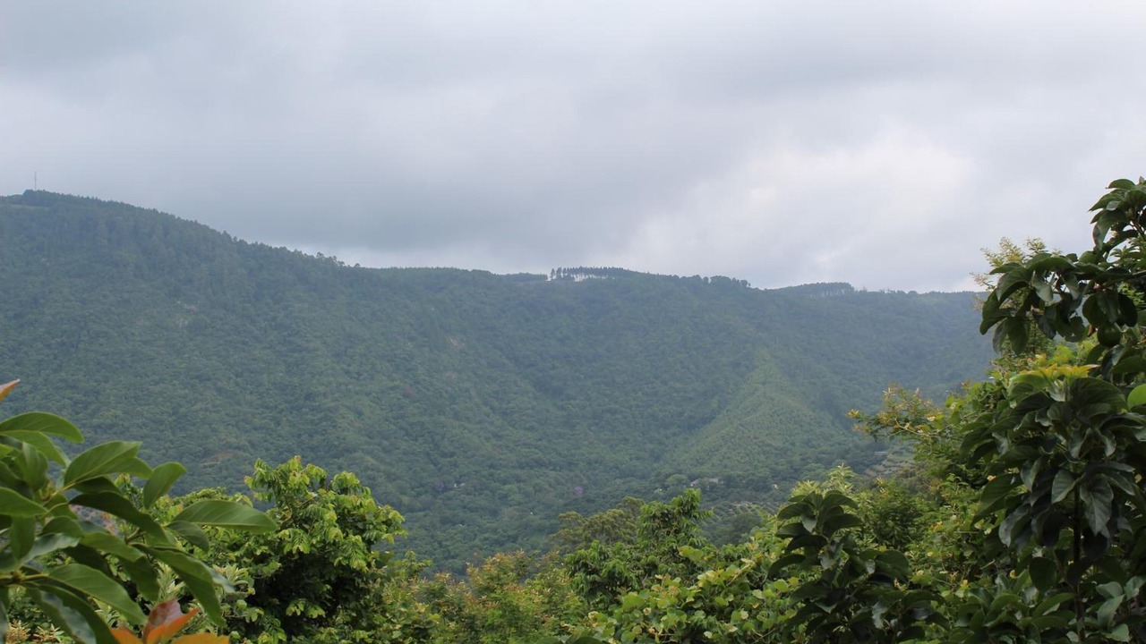Photo of Outdoor in Tzaneen