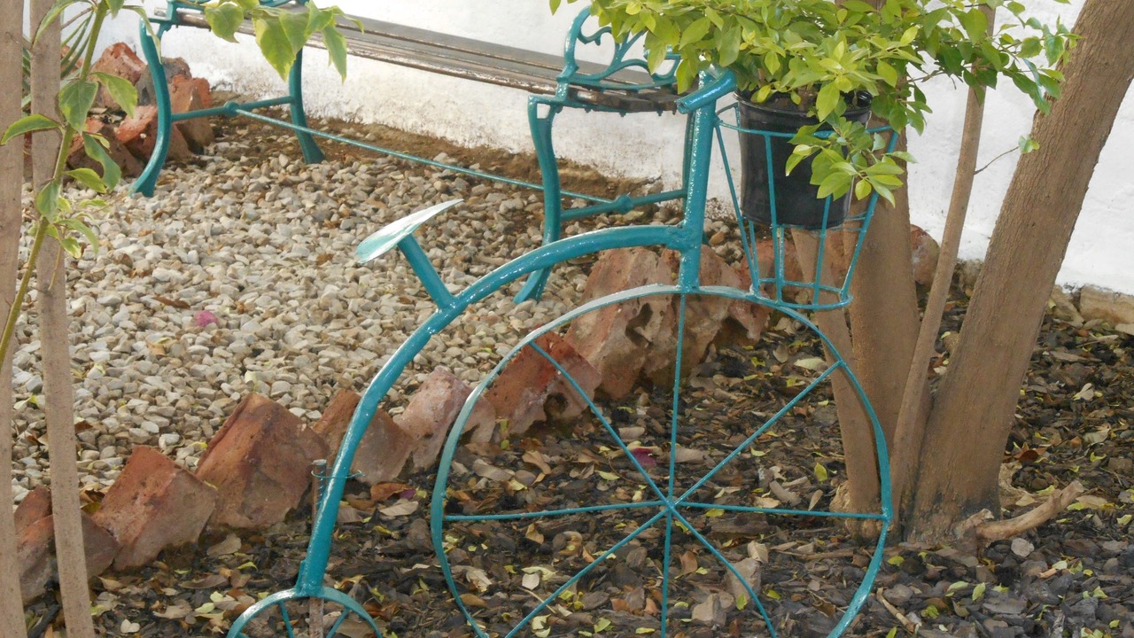 Photo of Outdoor in Graaff-Reinet