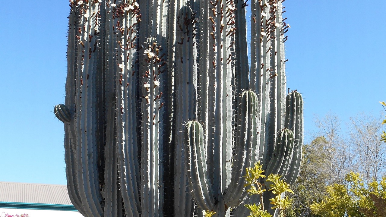 Photo of Outdoor in Graaff-Reinet