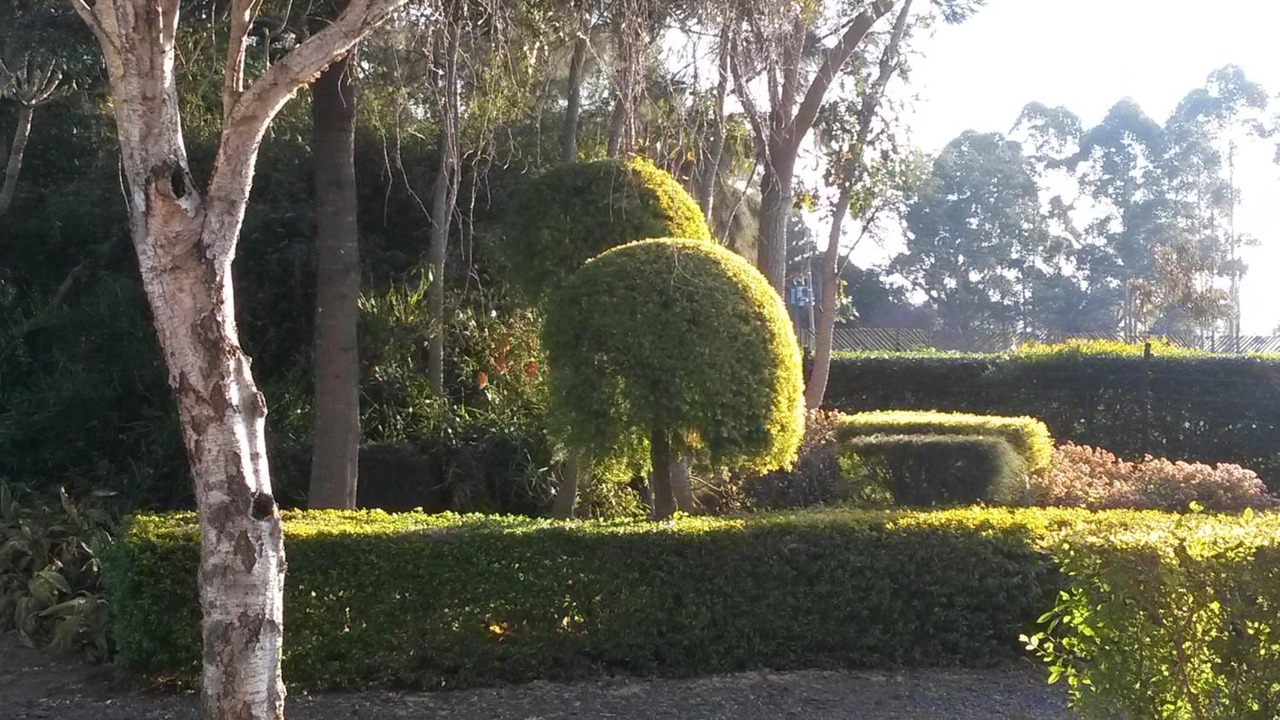 Photo of Outdoor in Mkhondo