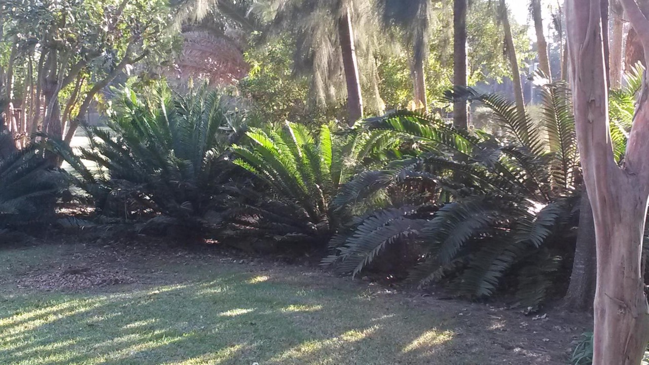 Photo of Outdoor in Mkhondo