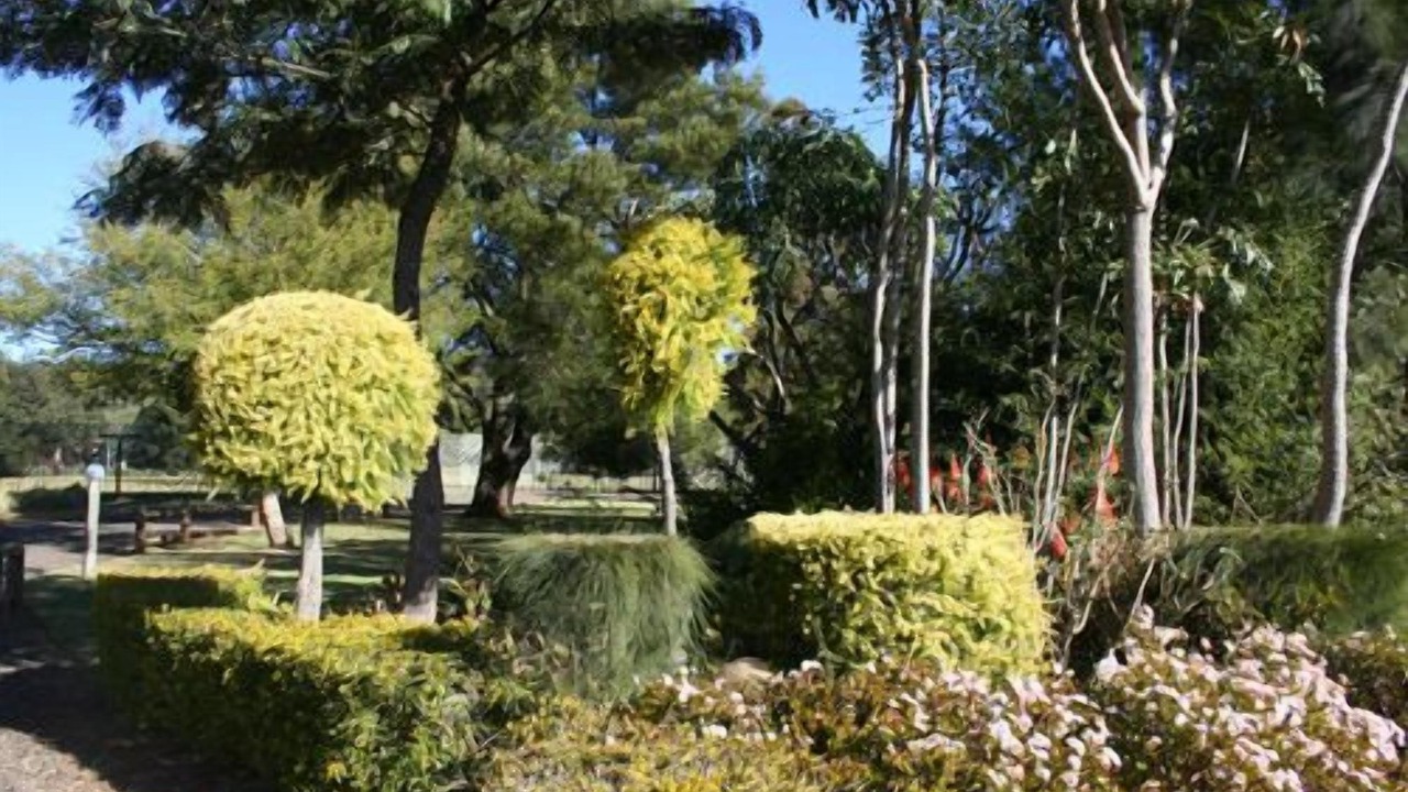Photo of Outdoor in Mkhondo