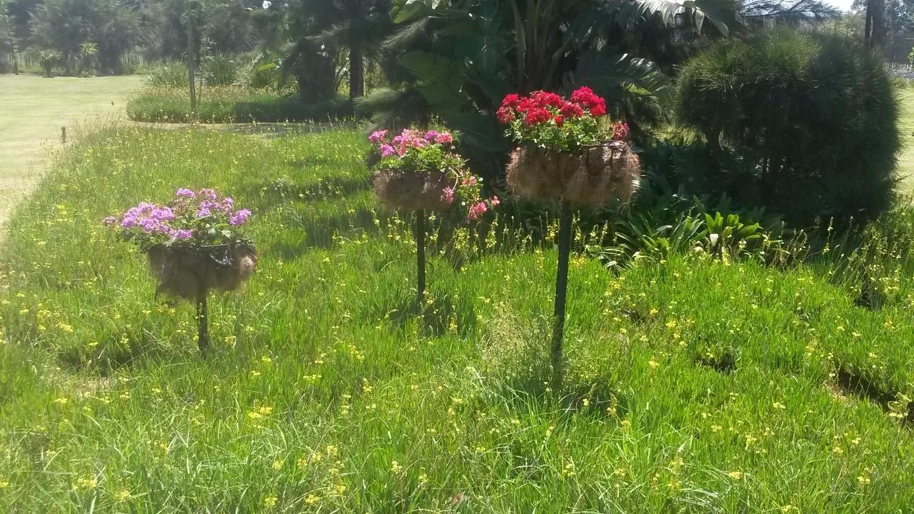 Photo of Outdoor in Mkhondo
