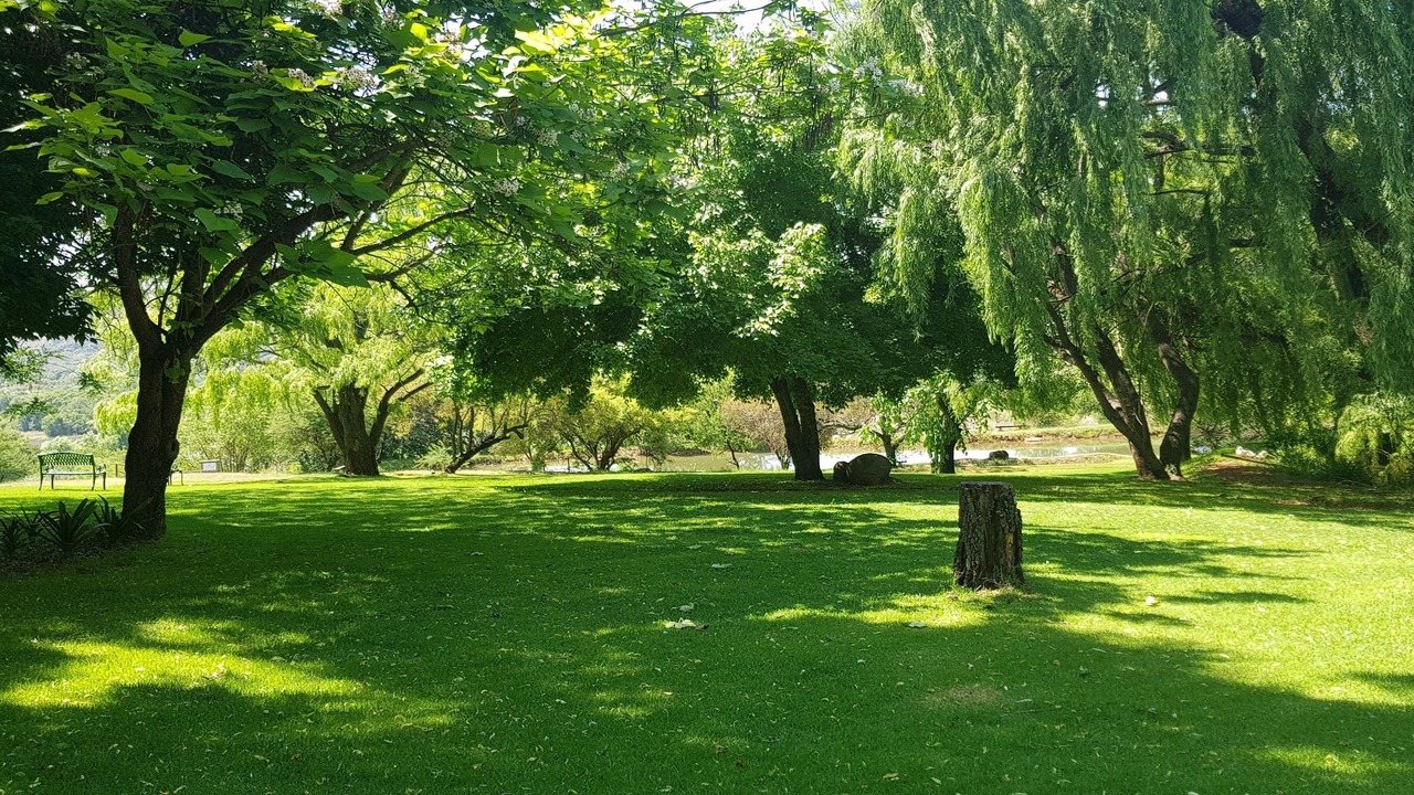 Photo of Outdoor in Magaliesberg