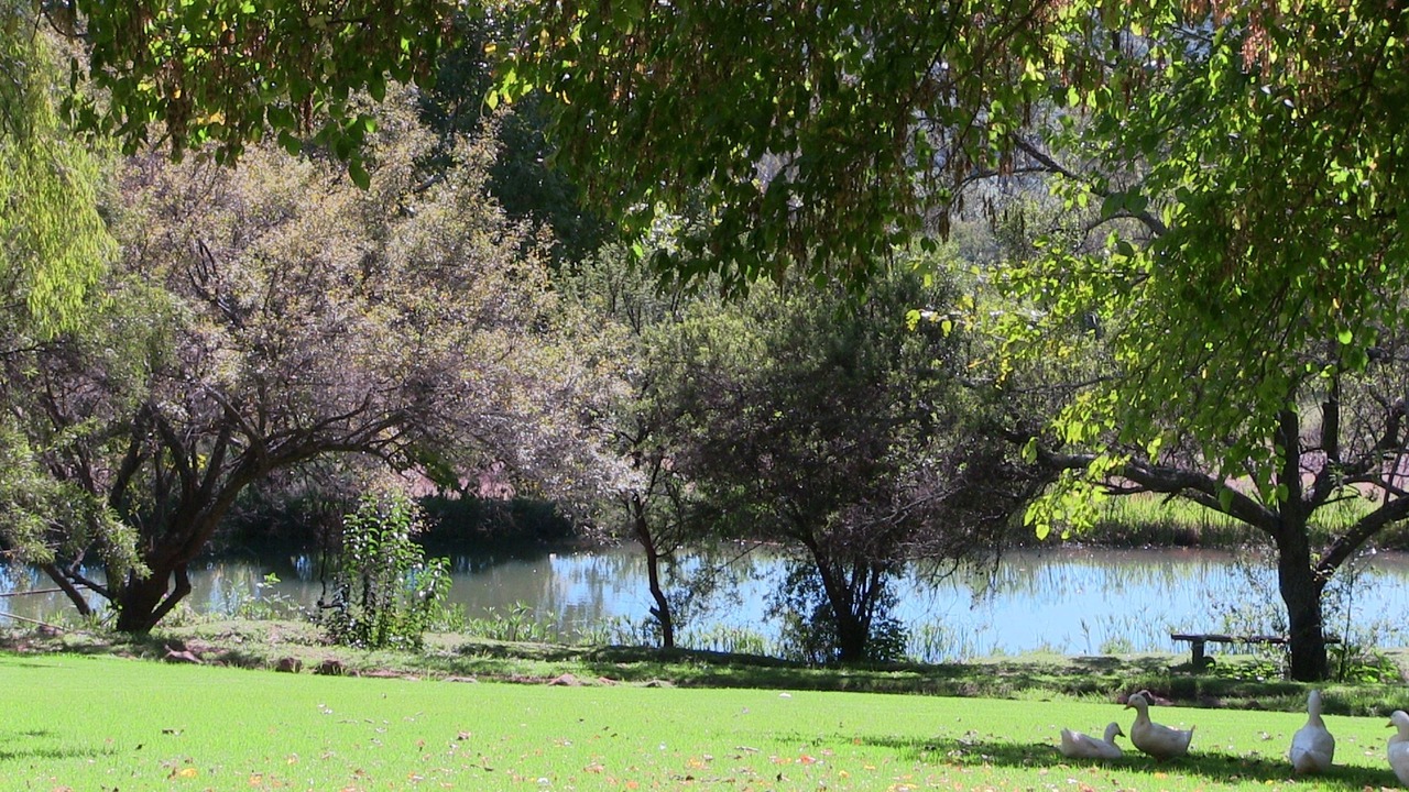 Photo of Outdoor in Magaliesberg