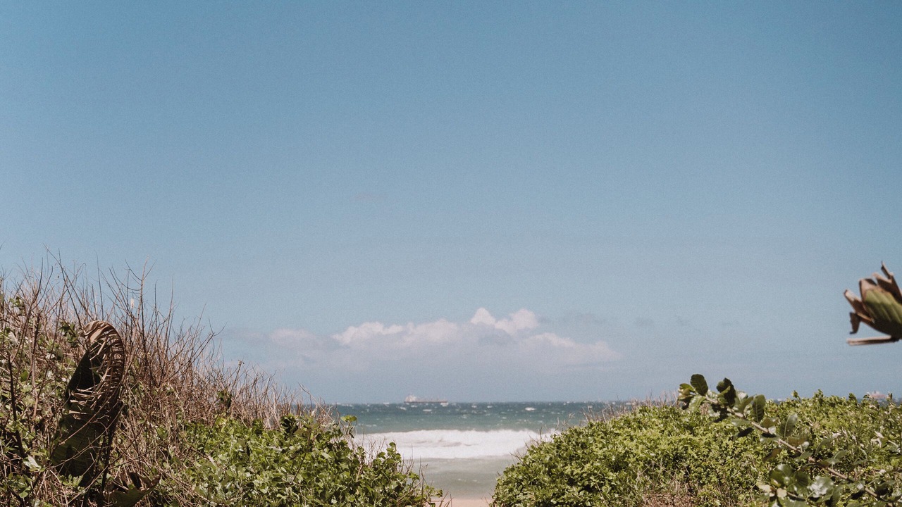 Photo of Others in Umhlanga
