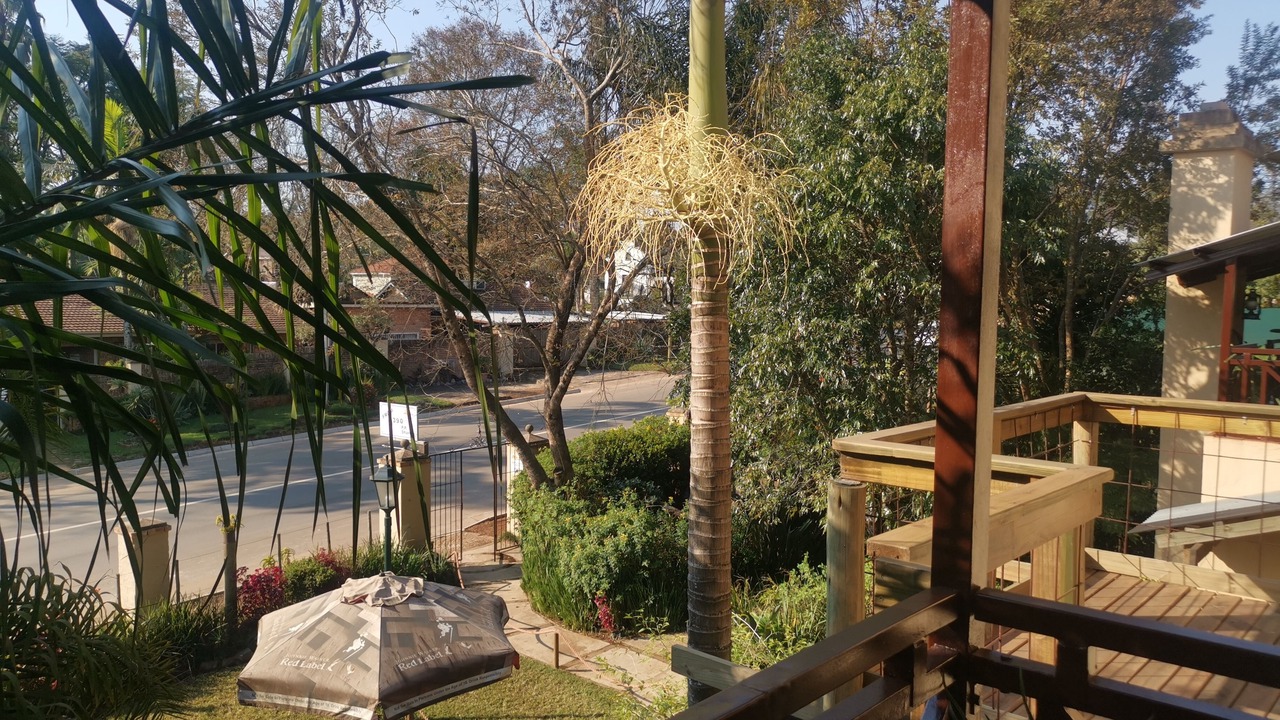 Photo of Outdoor in Graskop
