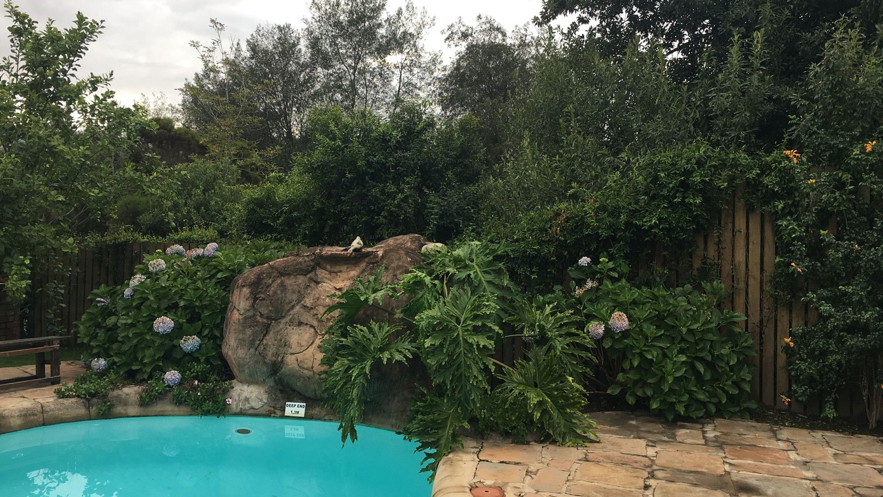 Photo of Outdoor in Storms River