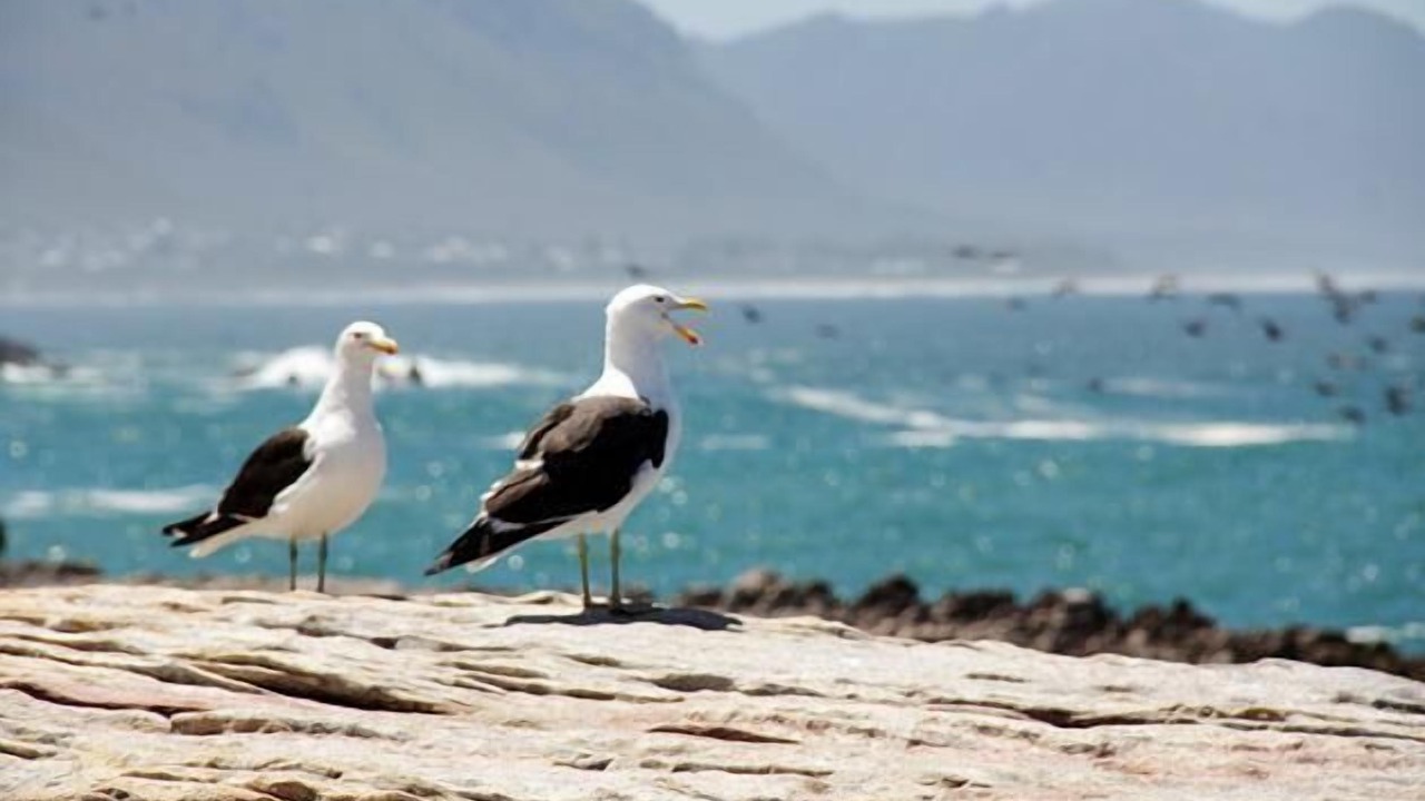 Photo of Others in Westcliff