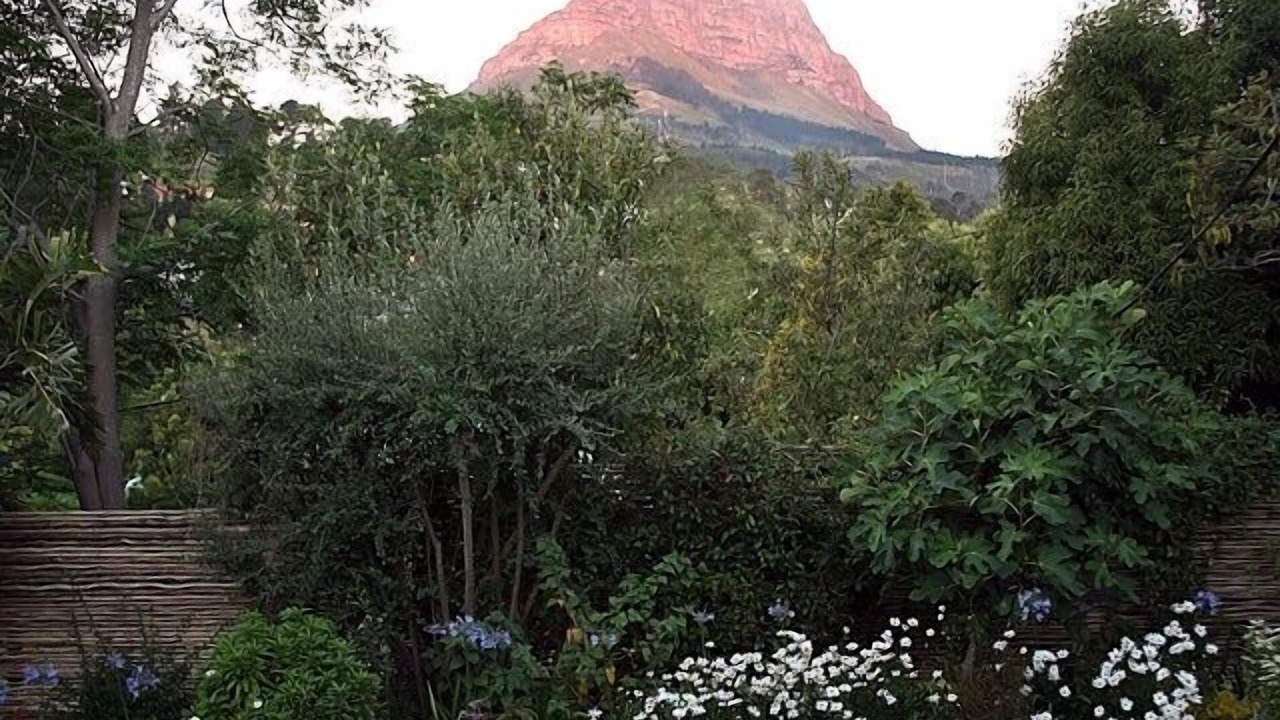 Photo of Others in Somerset West