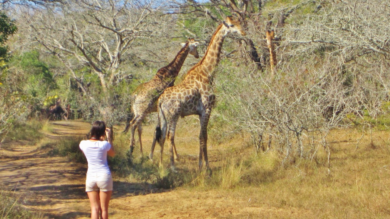 Photo of Others in Hluhluwe