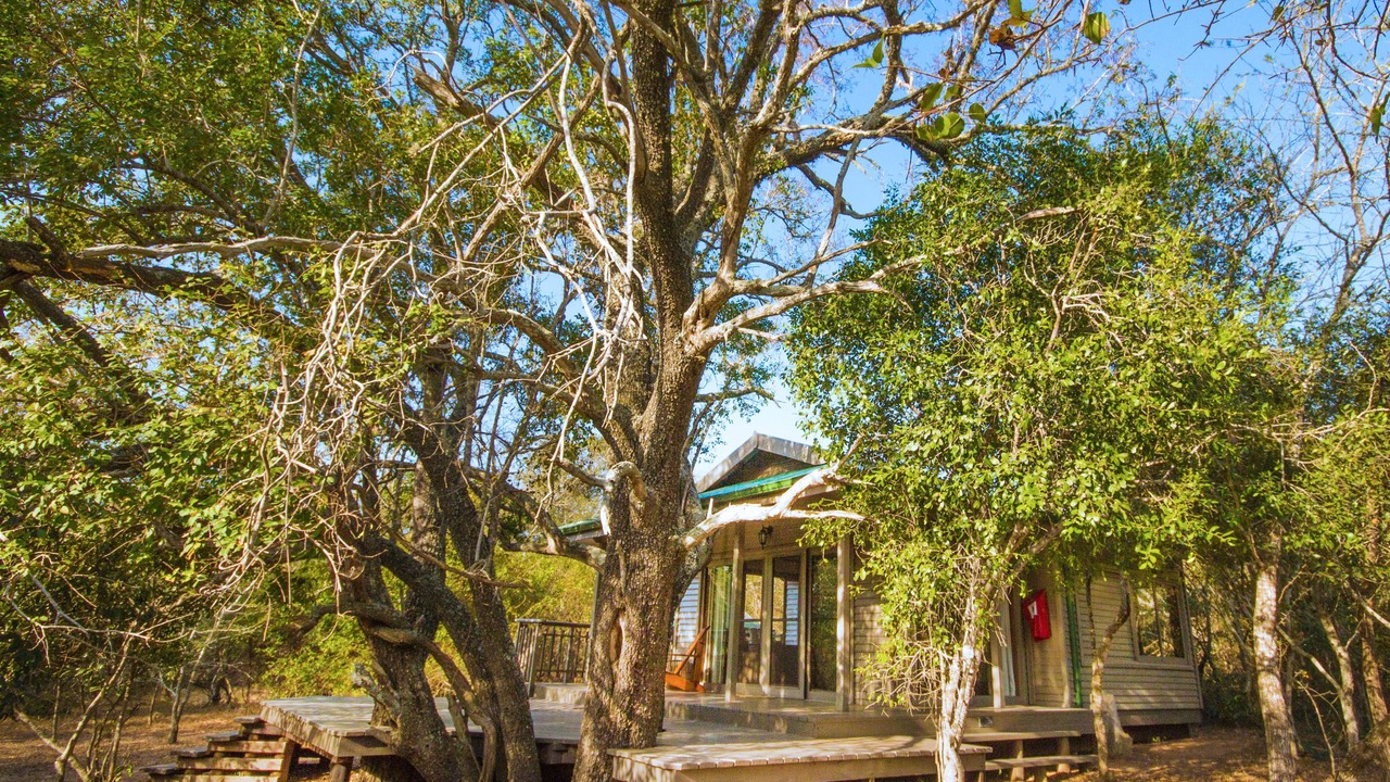 Photo of Outdoor in Hluhluwe